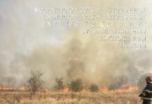 Dezastru în Dolj : peste 460 ha de vegetație uscată, distruse de flăcări