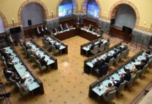 Parteneriatul economic cu Turcia, tot mai mult pus în valoare de Consiliul Județean Dolj și Primăria Craiova
